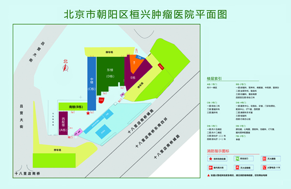 男女互舔爆操视频网站北京市朝阳区桓兴肿瘤医院平面图